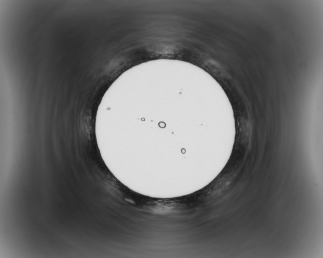 X0000083530612200703091513