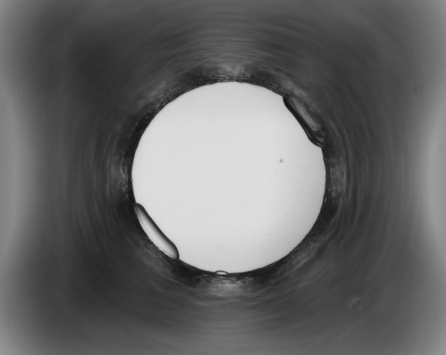 X0000083530613200703091513