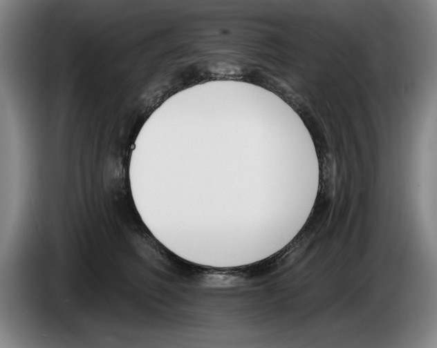 X0000083530614200703091513