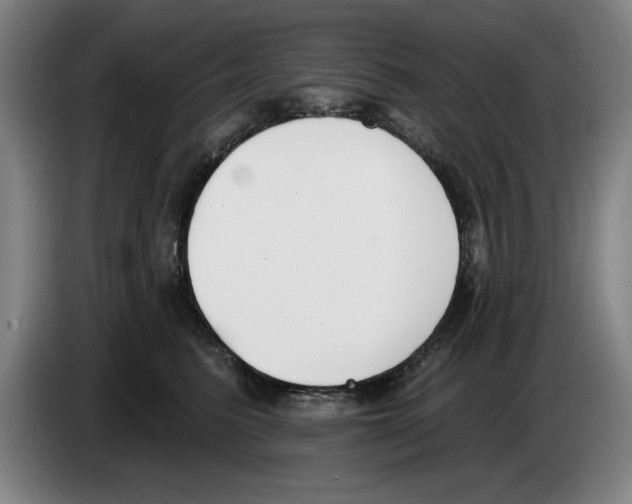 X0000083530615200703091513