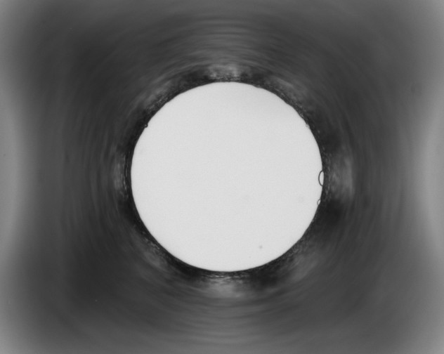 X0000083530616200703091513