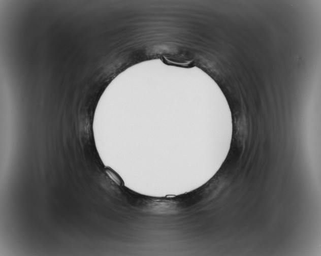 X0000083530617200703091513