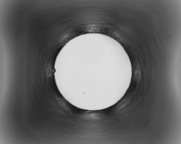 X0000083530620200703091513