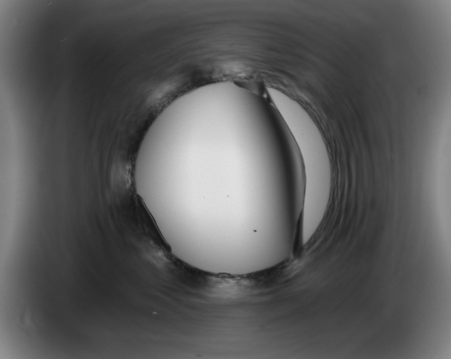 X0000083530621200703091513