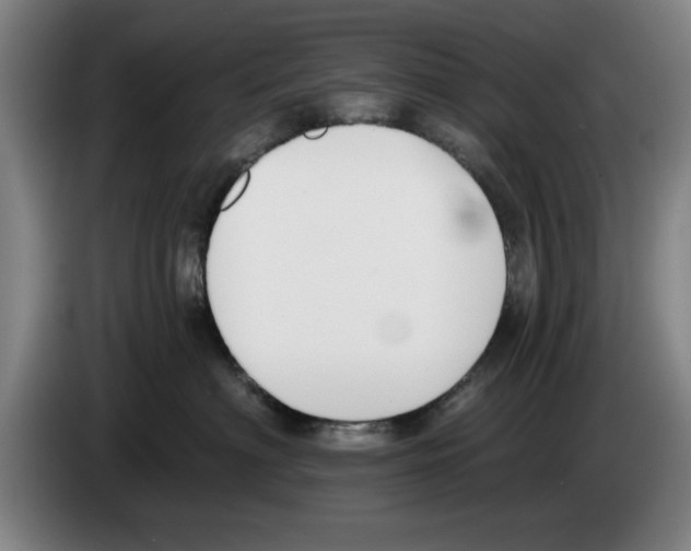 X0000083530622200703091513