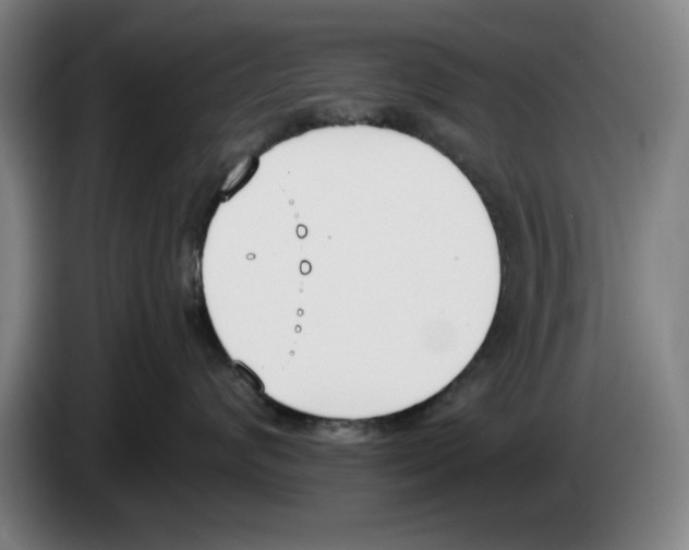 X0000083530624200703091513