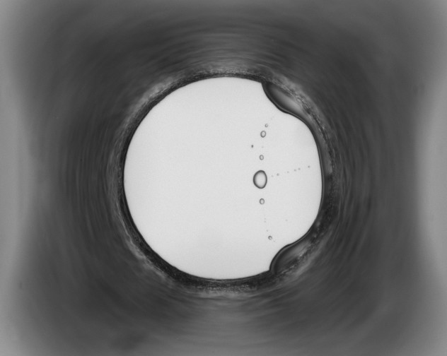 X0000083530625200703091512