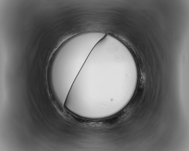 X0000083530626200703091512