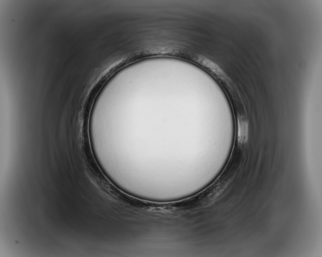 X0000083530627200703091512