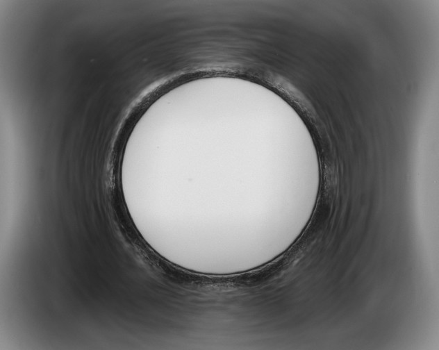 X0000083530628200703091512