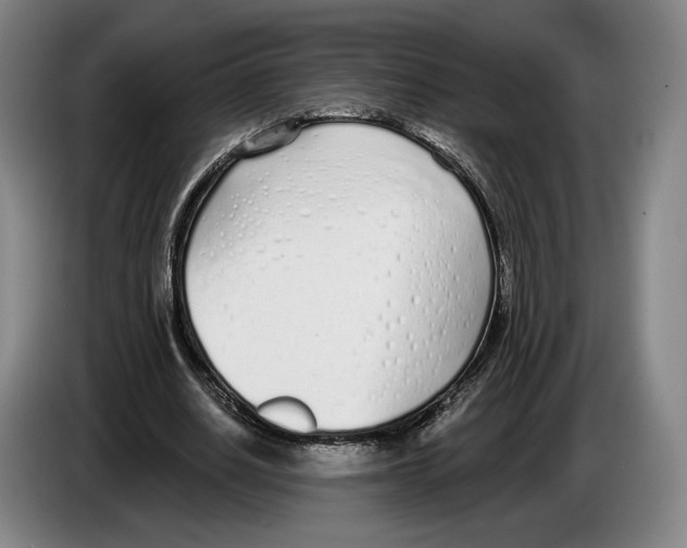 X0000083530630200703091512