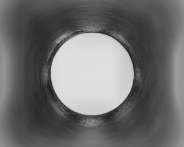 X0000083530632200703091512