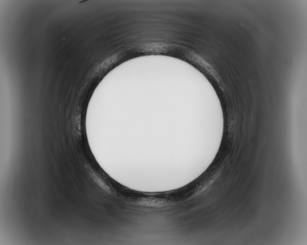 X0000083530633200703091512