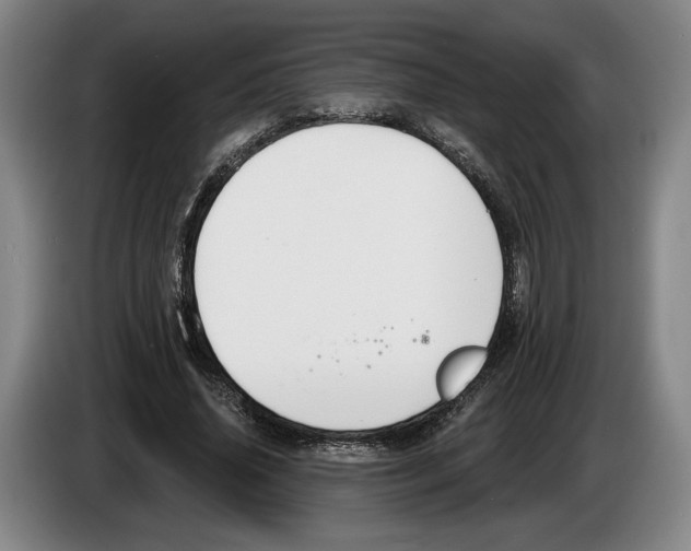 X0000083530636200703091513