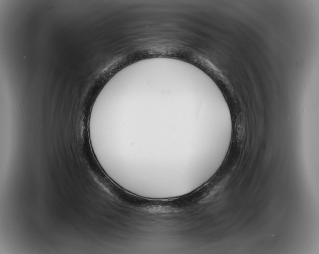 X0000083530637200703091513