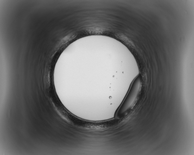 X0000083530638200703091513