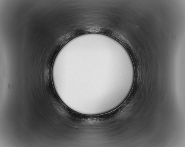 X0000083530641200703091513