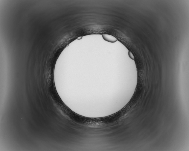 X0000083530642200703091513