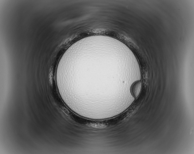 X0000083530644200703091513