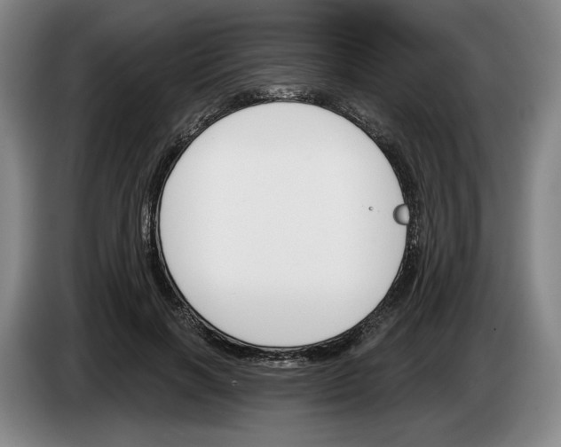 X0000083530646200703091513