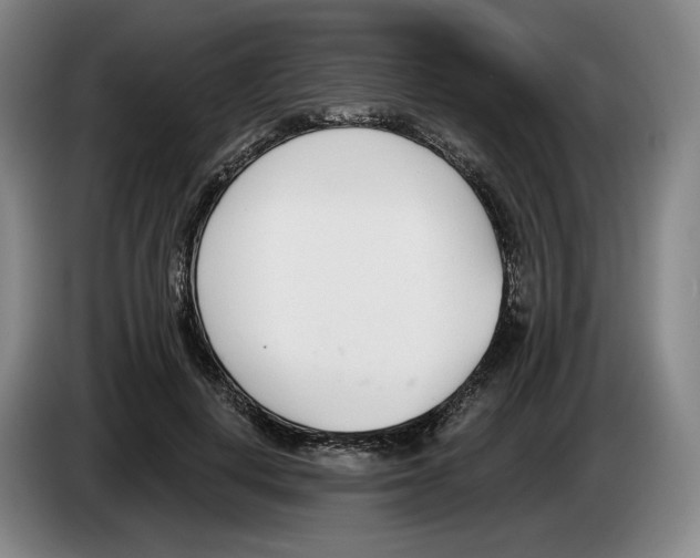 X0000083530648200703091513