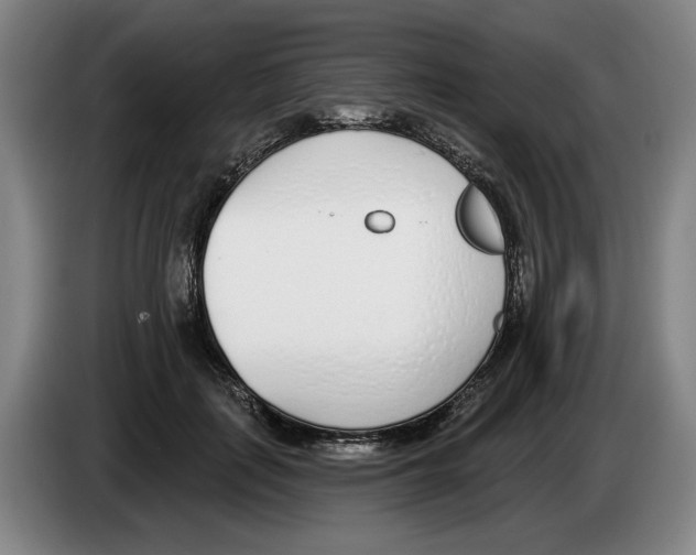 X0000083530651200703091513