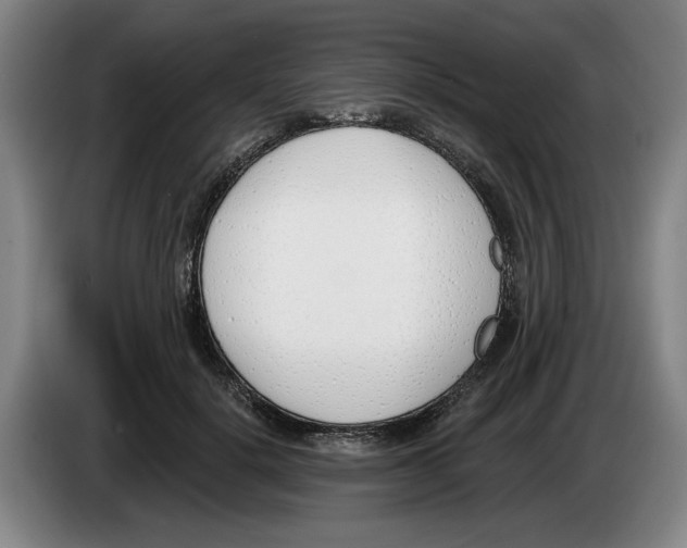 X0000083530652200703091513