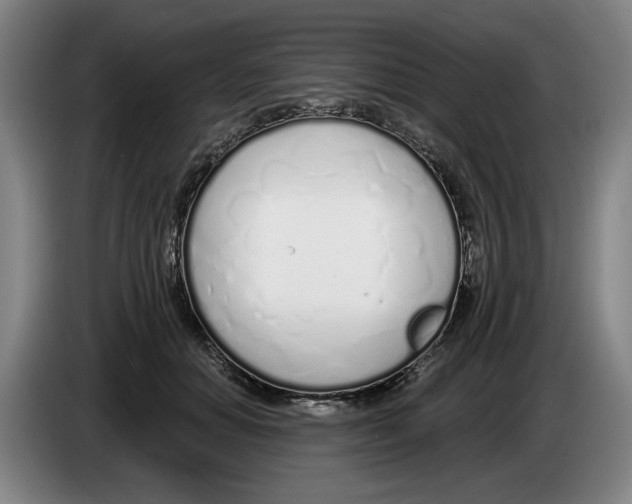 X0000083530654200703091513