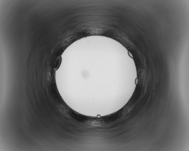 X0000083530655200703091513