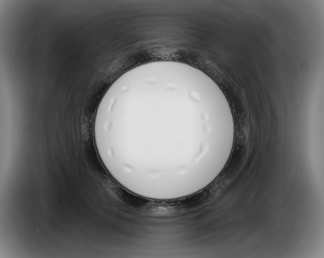 X0000083530658200703091513