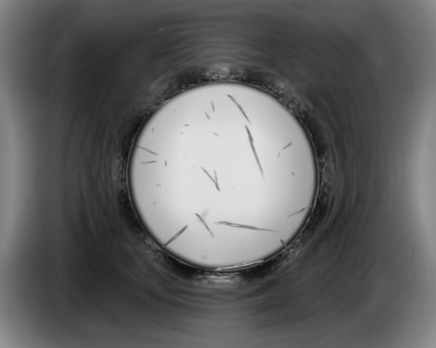 X0000083530659200703091513