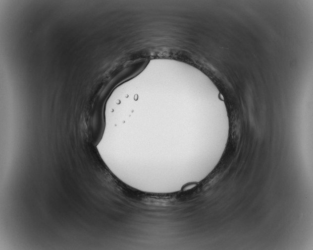 X0000083530661200703091513