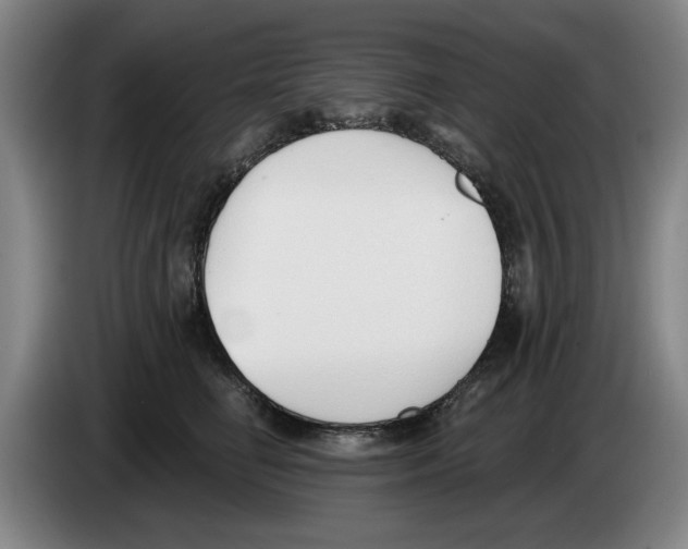 X0000083530662200703091513