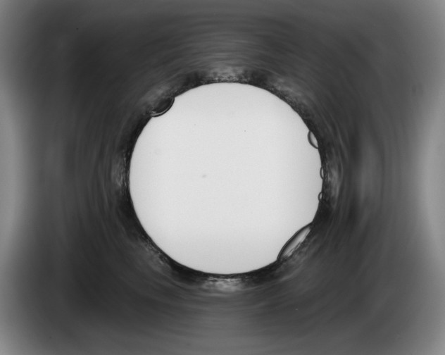 X0000083530665200703091513