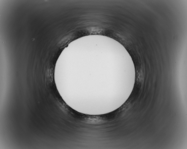 X0000083530666200703091513