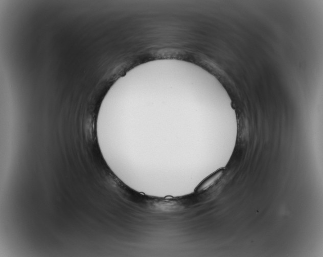 X0000083530669200703091513