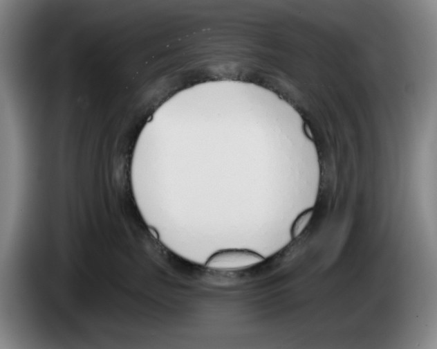 X0000083530671200703091513