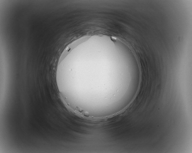 X0000083530672200703091513