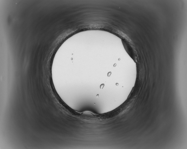 X0000083530673200703091512