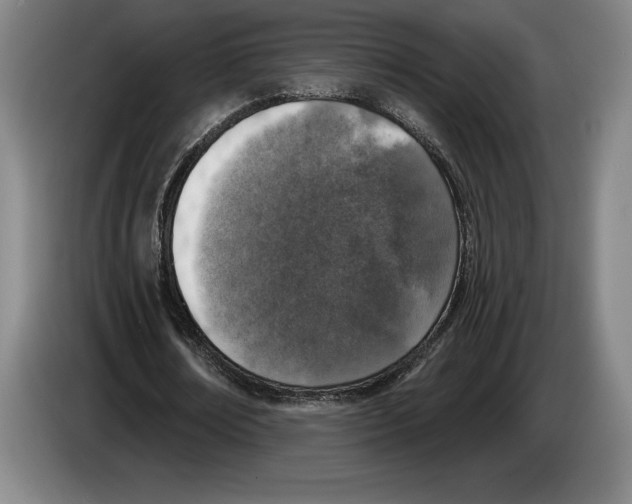 X0000083530674200703091512