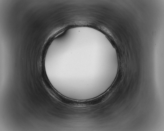 X0000083530677200703091512