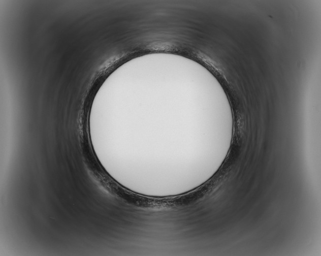 X0000083530682200703091512