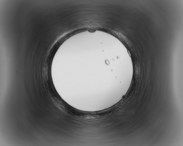 X0000083530684200703091512