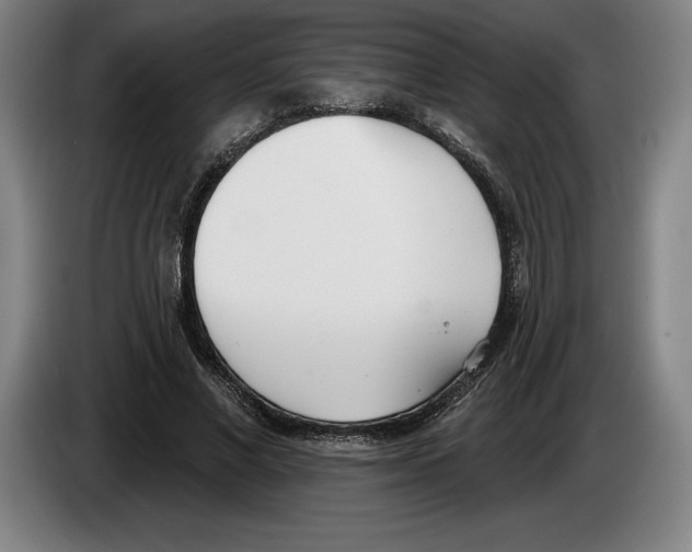 X0000083530685200703091512