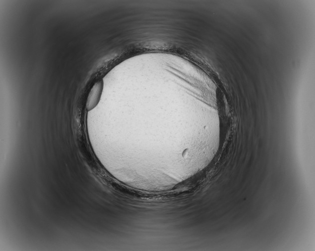 X0000083530688200703091512