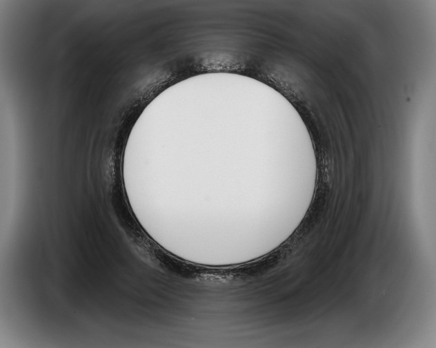 X0000083530690200703091512