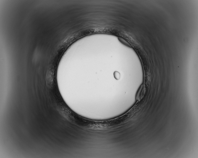 X0000083530691200703091512