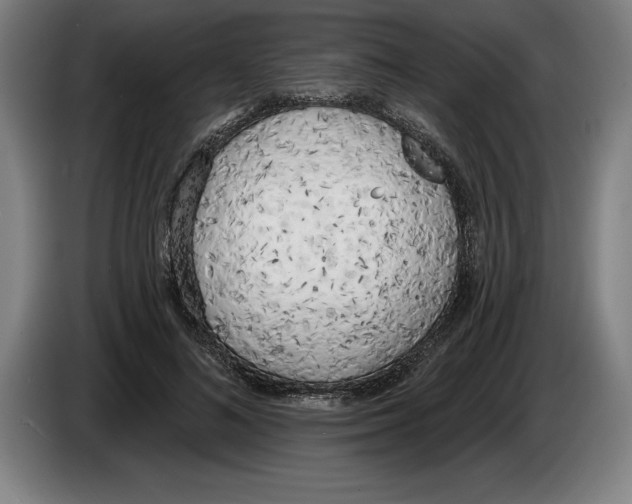 X0000083530692200703091512