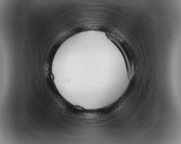 X0000083530693200703091512