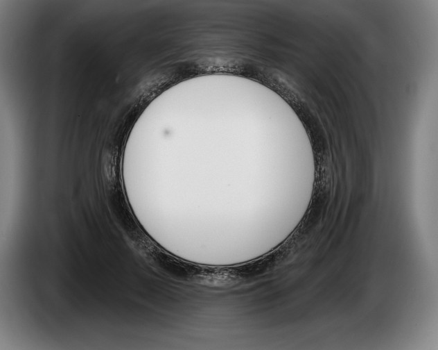 X0000083530695200703091512